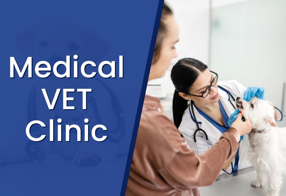 Medical VET Clinic
